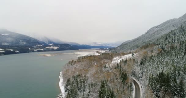 Kiefernwald Auf Bergketten Und Flüssen Winter — Stockvideo