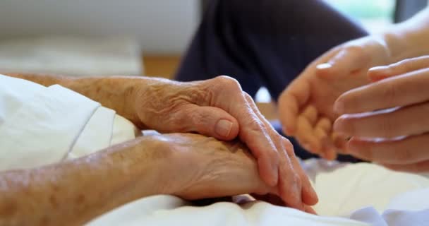 近距离医生的手安慰在家庭的资深妇女4K — 图库视频影像