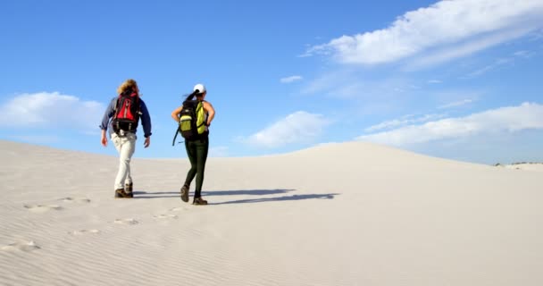 Casal Com Mochilas Andando Deserto Dia Ensolarado — Vídeo de Stock