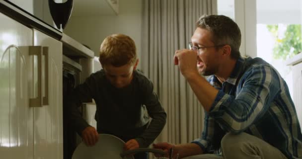 Vater Und Sohn Arrangieren Teller Modularen Küchenschrank Hause — Stockvideo