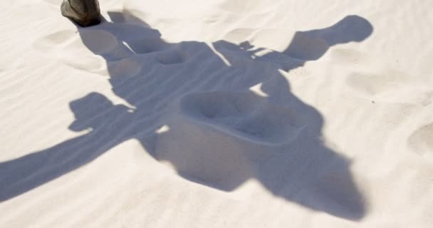 Женщина Сапогах Идущая Пустыне Солнечный День — стоковое видео
