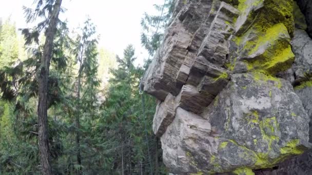 森林4K 悬崖上登山运动员攀岩的低角度观 — 图库视频影像