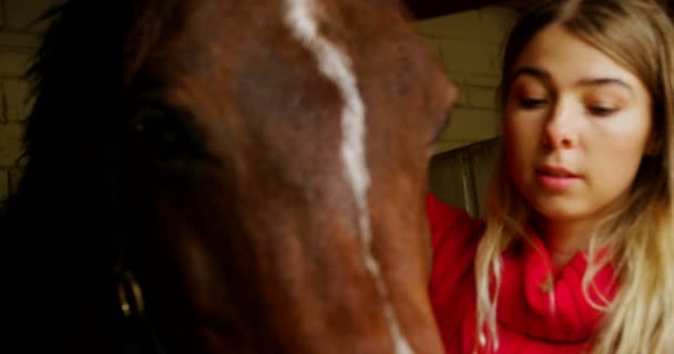 Close Woman Wearing Rein Horse Stable — Stock Video