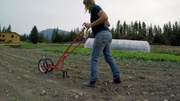 Donna Matura Che Utilizza Attrezzature Agricole Nella Fattoria — Video Stock