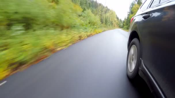 秋の田舎道に乗って車のクローズ アップ — ストック動画