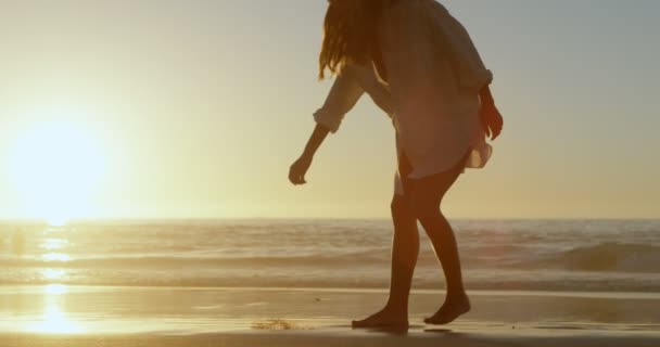 Mujer Sosteniendo Planta Seca Playa Atardecer — Vídeo de stock