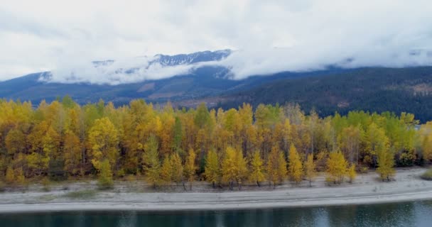 Осінній Ліс Гірські Хребти Вздовж Озера Взимку — стокове відео