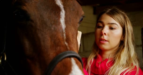 Primer Plano Mujer Que Lleva Rienda Suelta Caballo Establo — Vídeos de Stock