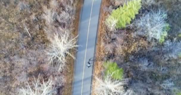 Aérien de la personne faisant du vélo sur une route de campagne à travers la forêt 4k 