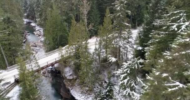 在积雪覆盖的森林中穿越河流的桥梁空中4K — 图库视频影像