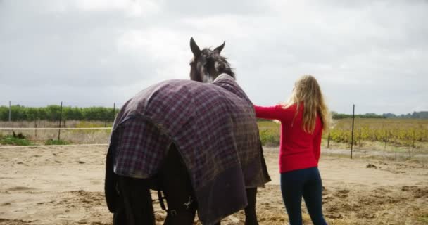 の牧場で馬をなでる女性の後姿 — ストック動画