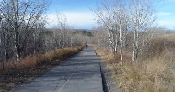 Ciclista Determinado Pedalando Por Uma Estrada Rural Floresta — Vídeo de Stock