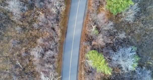 Vue aérienne de la route dans les bois de campagne en automne 