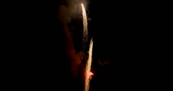 Schönes Feuerwerk Das Nachts Gegen Den Schwarzen Himmel Explodiert — Stockvideo