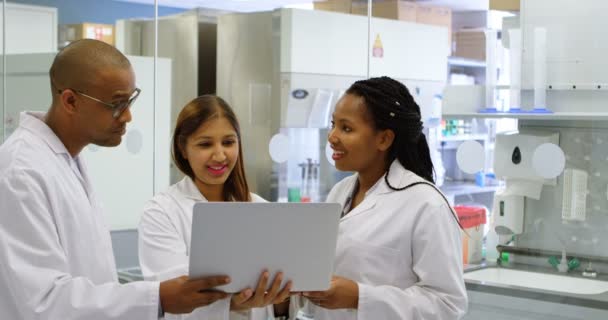 Equipe Cientistas Discutindo Sobre Laptop Escritório — Vídeo de Stock