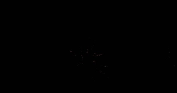 Prachtige Vuurwerk Exploderende Tegen Zwarte Hemel Nachts — Stockvideo
