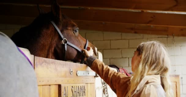 Zijaanzicht Van Vrouw Strelen Van Een Paard Een Stabiele — Stockvideo