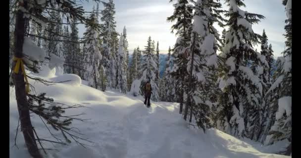 Vrouw Met Rugzak Lopen Sneeuw Bedekt Berghelling Winter — Stockvideo