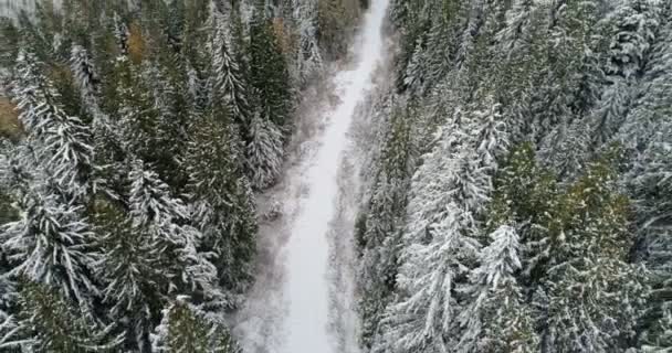 Aérien de la route traversant la forêt de pins enneigée 4k 