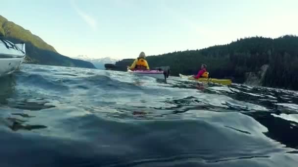 Toeristen Roeien Kajak Boten Rivierwater Nationaal Park Banff Canada — Stockvideo