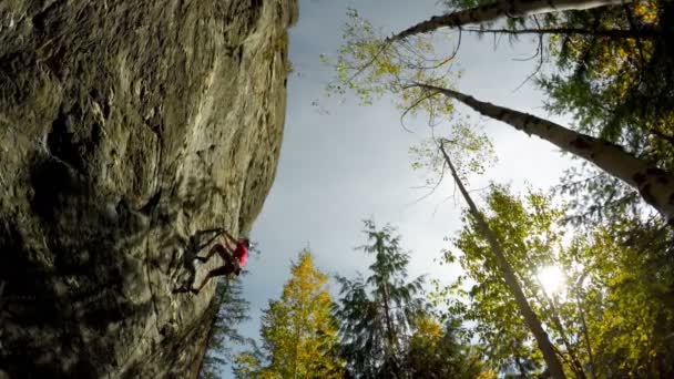 Niedrigwinkel Ansicht Des Bergsteigers Der Die Klippe Wald Erklimmt — Stockvideo