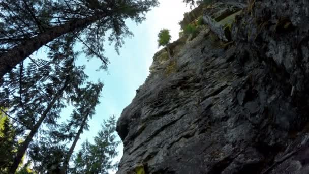 攀岩者在森林中攀登悬崖的低角度观4K — 图库视频影像