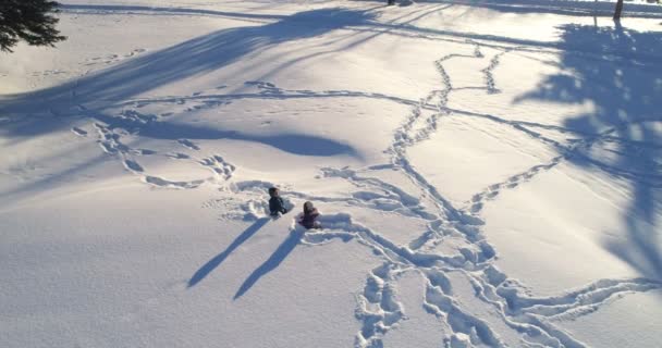 Luchtfoto Van Kinderen Spelen Een Besneeuwde Gebied — Stockvideo