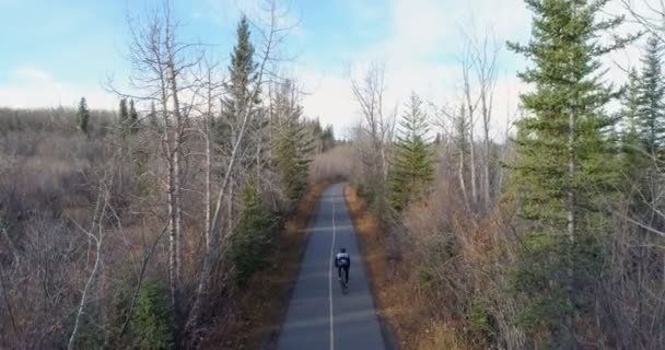 Aérea Ciclista Bicicleta Través Una Carretera Campo Bosque — Vídeo de stock