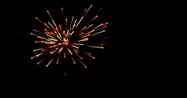 Beaux Feux Artifice Explosant Contre Ciel Noir Nuit — Video