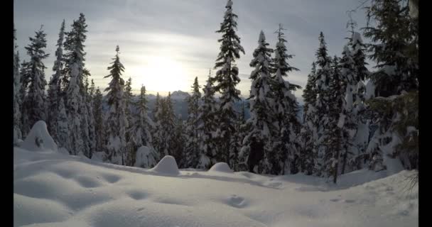 雪の上を歩いてのバックパックを持つ女性が冬 の間に山の斜面をカバー — ストック動画