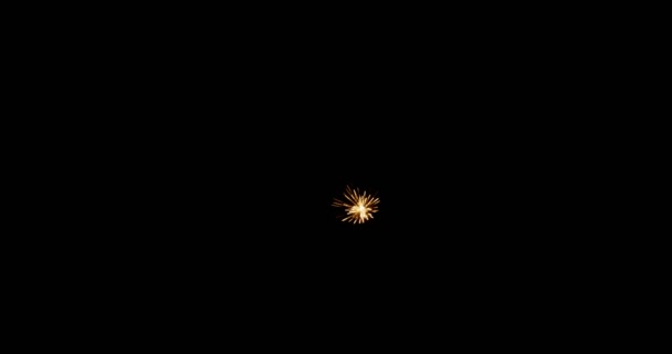 Όμορφη Πυροτεχνήματα Εκρήγνυνται Κατά Μαύρο Ουρανό Νύχτα — Αρχείο Βίντεο