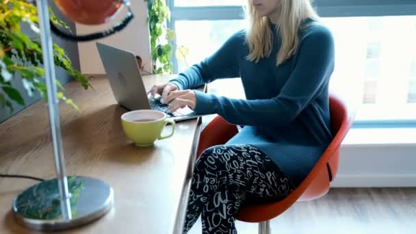 Mulher Bonita Usando Laptop Casa — Vídeo de Stock