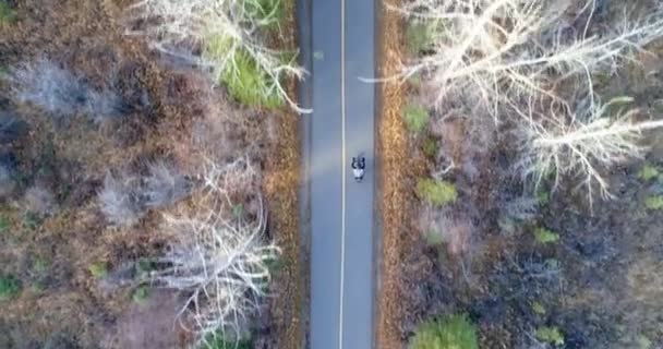 Vue aérienne de la personne en vélo sur la route 4k 