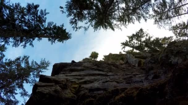 Vista Ángulo Bajo Del Escalador Escalando Acantilado Bosque — Vídeos de Stock