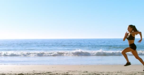 Fit Woman Jogging Beach Sunny Day — Stock Video