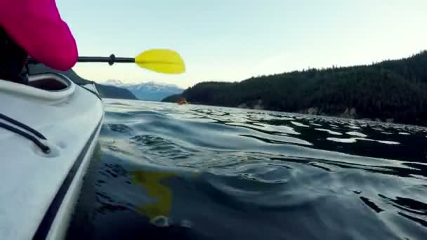 Turister Kajak Båtar Flodvatten Banff National Park Kanada — Stockvideo