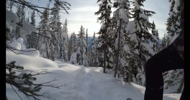 雪の上を歩いてのバックパックを持つ女性が冬 の間に山の斜面をカバー — ストック動画