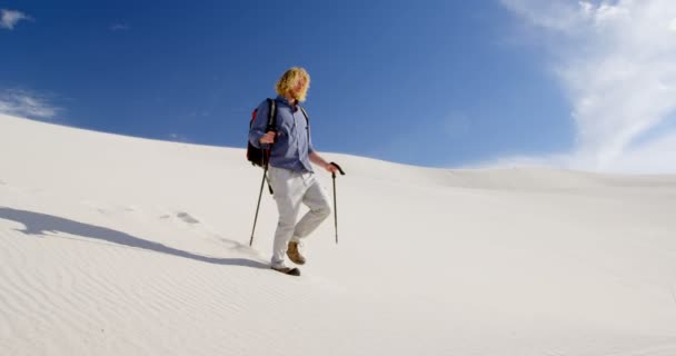 Mann Mit Wanderstöcken Geht Einem Sonnigen Tag Die Sanddünen Hinunter — Stockvideo