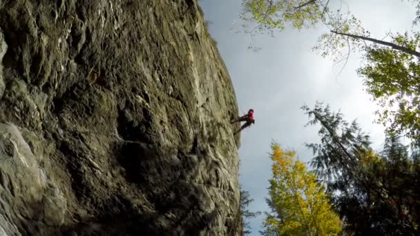 Vista Baixo Ângulo Alpinista Descendo Penhasco Floresta — Vídeo de Stock