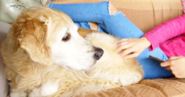 Kadın köpeğini dijital tablet kanepe ev 4 k kullanırken okşayarak