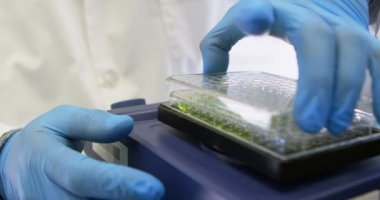 Mikroplaka laboratuvar 4 k kapağının kapatılması bilim adamı Close-up