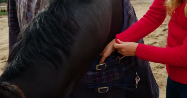 Joven Mujer Ajustando Cinturón Alfombra Caballo — Vídeo de stock