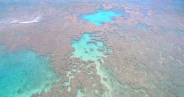 Sığ tropikal deniz 4k havadan görünümü