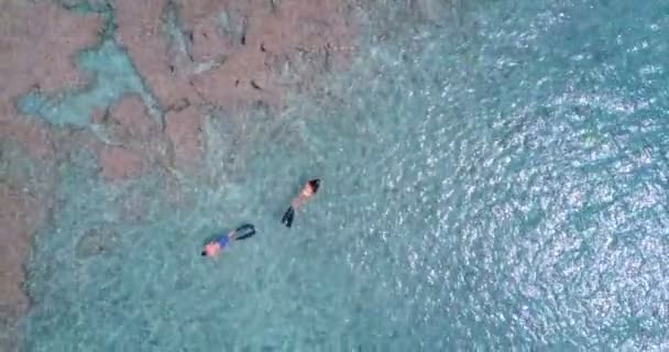 Vista Aérea Pareja Haciendo Snorkel Mar — Vídeos de Stock