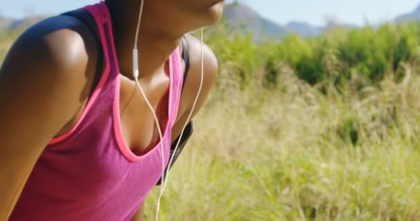 Atleta Femenina Relajándose Después Trotar Bosque Día Soleado — Vídeo de stock