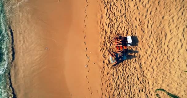 のビーチで一緒に座っている観光客の航空写真 — ストック動画