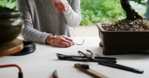 Vrouw Controleren Bonzai Plant Bij Shop — Stockvideo