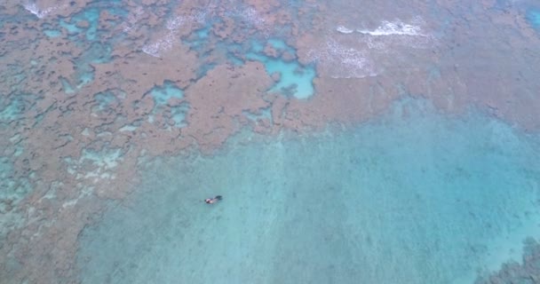 海中情侣浮潜的鸟瞰图4K — 图库视频影像