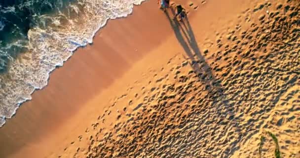 Vista Aérea Los Turistas Caminando Playa Día Soleado — Vídeo de stock