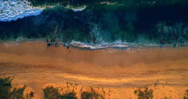 Vista Aérea Playa Arena Escénica Orilla Del Mar — Vídeos de Stock